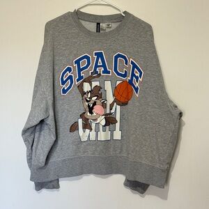H&M x Space Jam Graphic Sweatshirt Taz Basketball Size XL